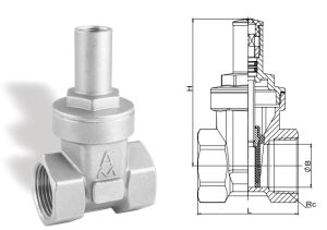 8130不锈钢软密封带锁闸阀 Z15X-16P